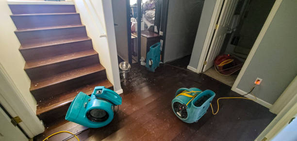 Best Fire Damage Restoration  in Springtown, TX