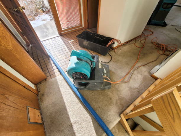 Best Sewage cleanup and water damage restoration  in Springtown, TX