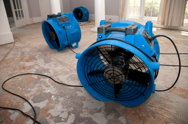Best Flooded house restoration  in Springtown, TX