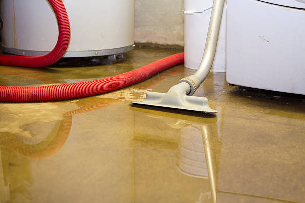 Best Basement water damage restoration  in Springtown, TX