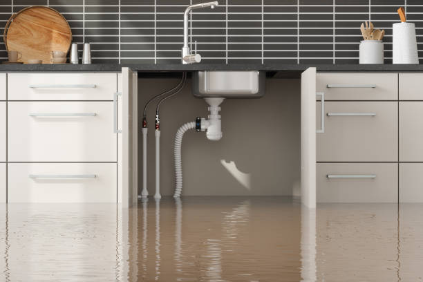 Best Water damage cleanup near me  in Springtown, TX