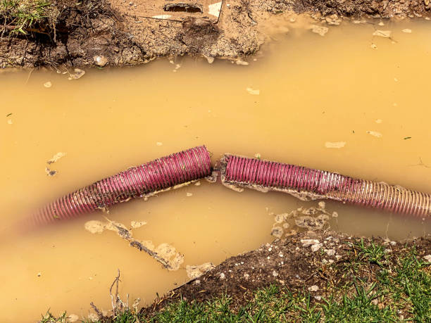 Best Water damage restoration experts  in Springtown, TX